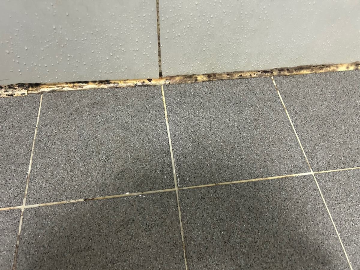 낡아 검게 변한 바닥 가장자리 실리콘. 전부 걷어 내고 다시 방수했습니다