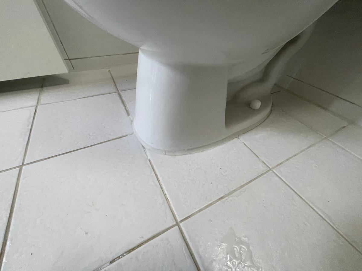 변기를 다시 앉히고 둘레를 마감했습니다