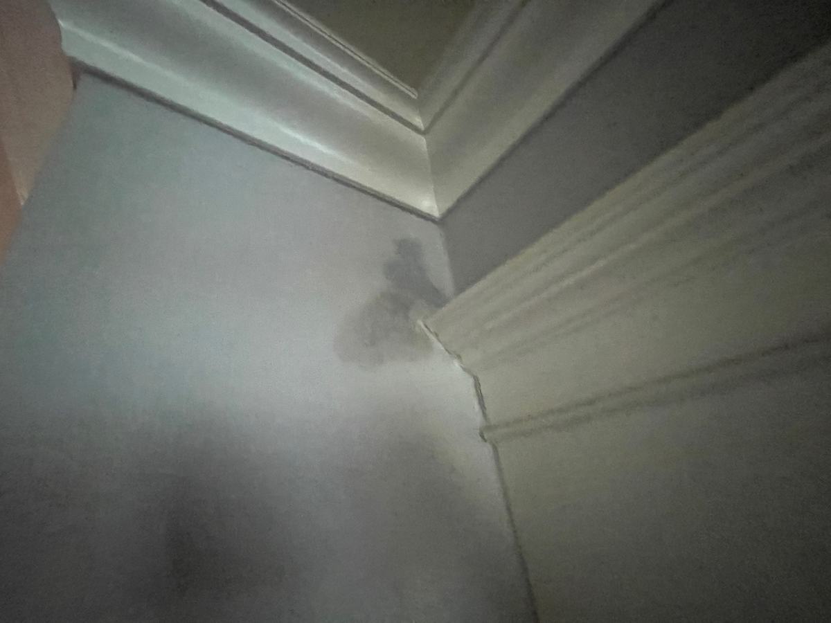 아랫집 화장실 문 앞 벽 위쪽, 몰딩 아래 벽지에 번진 습기