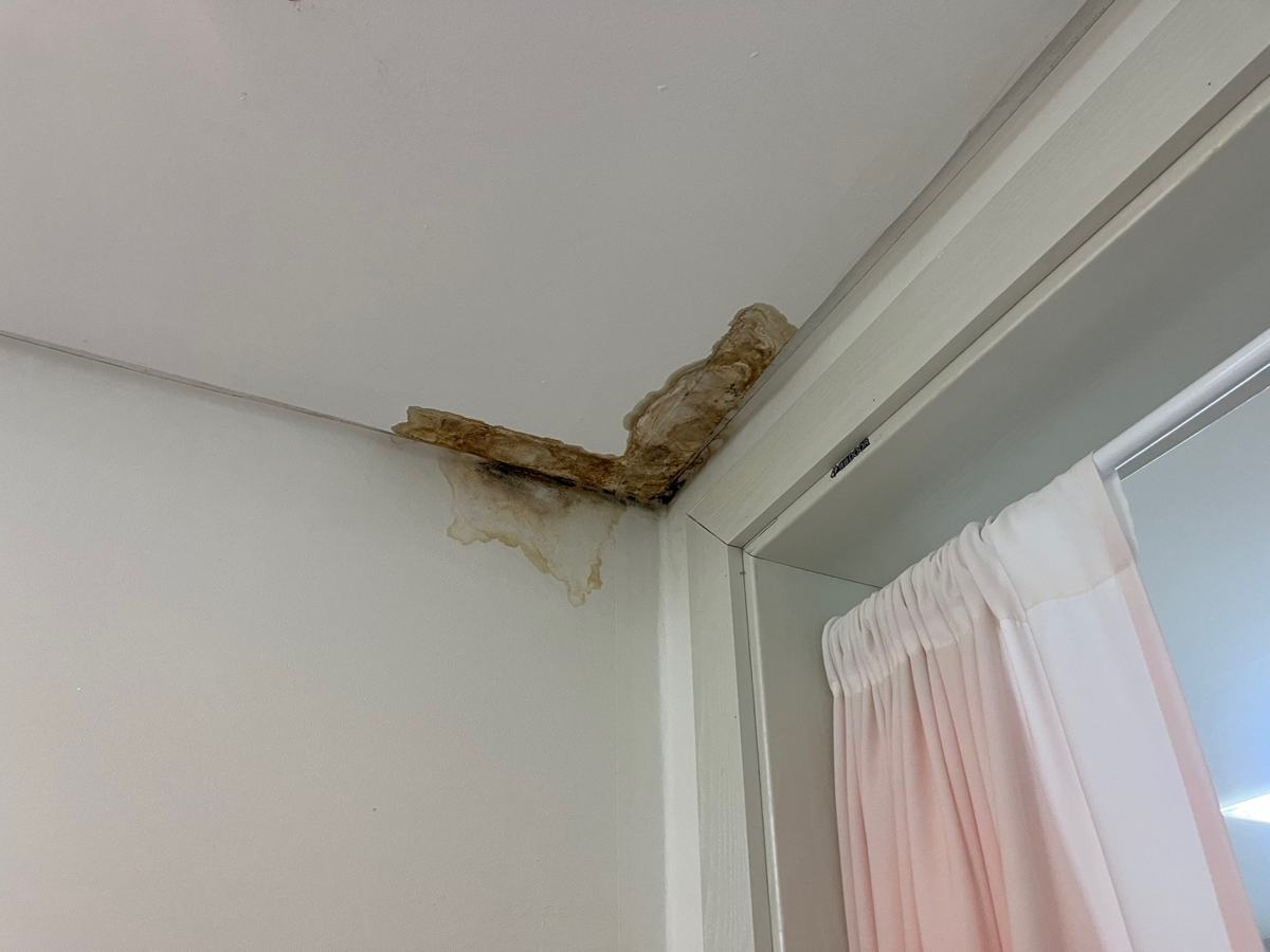 아랫집 화장실 옆 방 천장 모서리, 벽지가 누렇게 물들었습니다