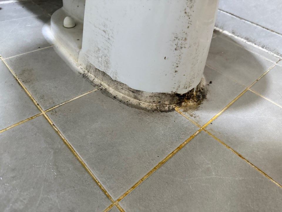 변기 밑동 둘레에 검은 곰팡이
