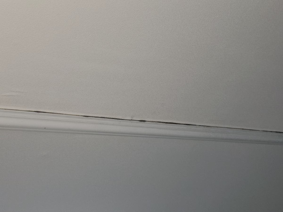 아랫집 천장 몰딩을 따라 길게 생긴 검은 자국