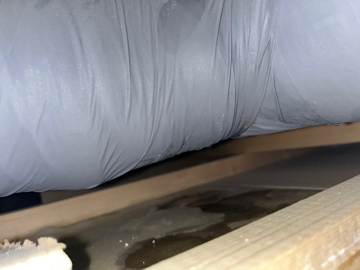 천장 속 판 위에 떨어진 물이 고여 있었습니다