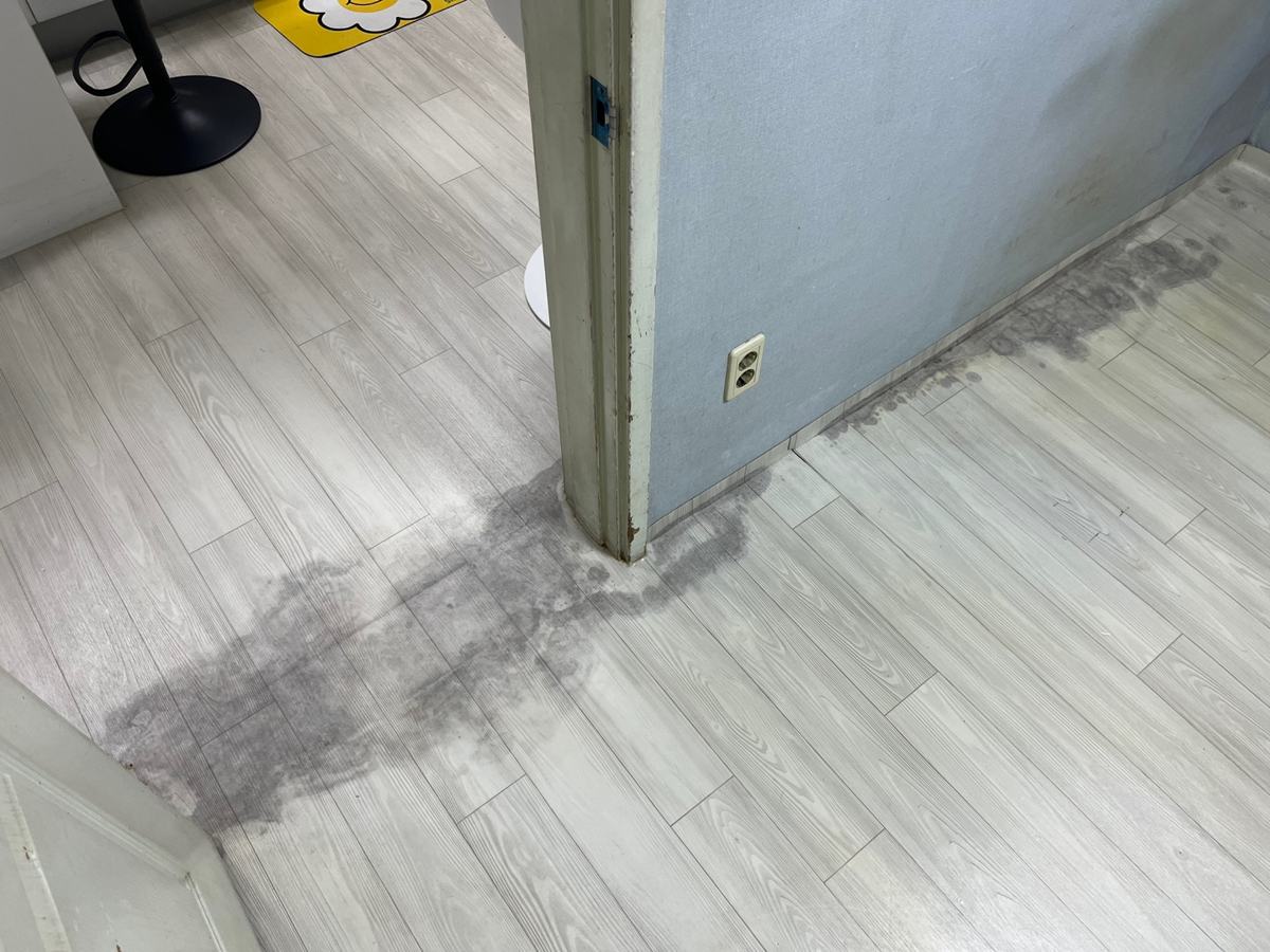 작은방 문 쪽부터 주방 쪽으로 장판 가장자리가 까맣게 변해 있었습니다