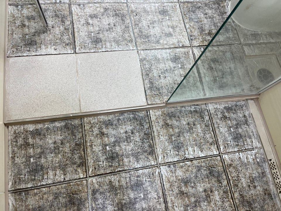 새로 붙인 샤워부스 입구 타일