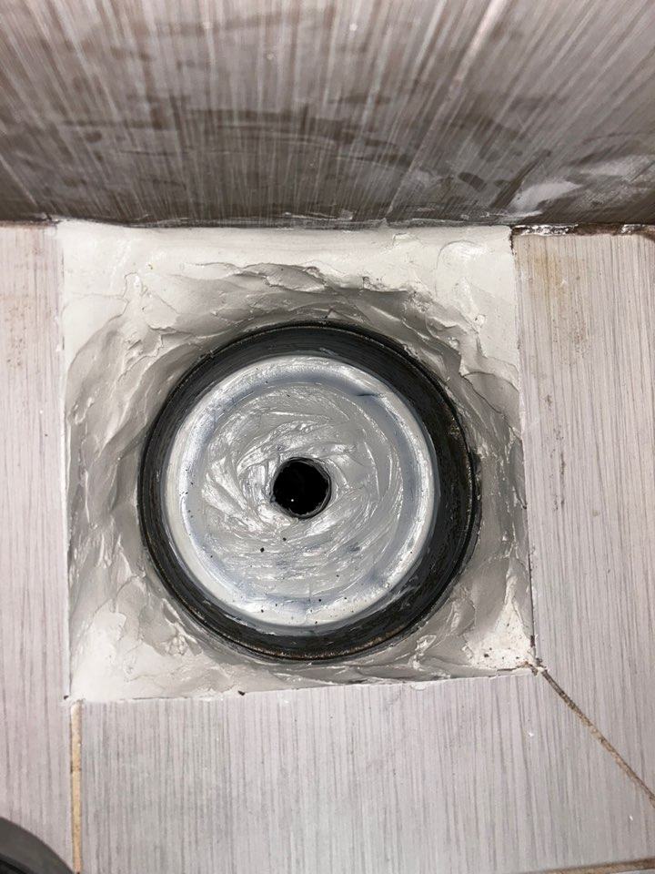 백시멘트 방수 후 새 육가