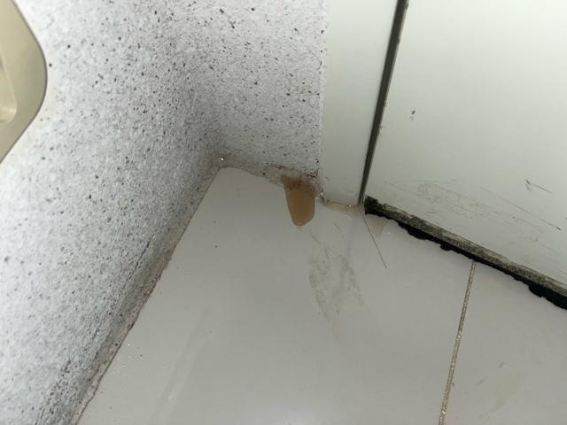 주방에서 세탁실로 나가는 문 모서리 아래. 물이 스며 나오던 자리입니다