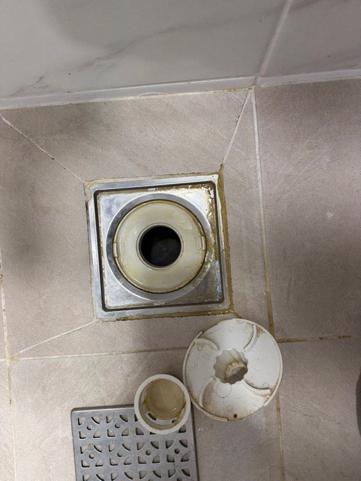 윗집 안방 화장실 육가