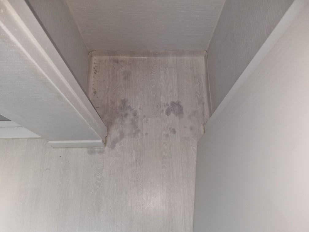 화장실·세탁실과 붙은 마루가 거뭇하게 변해 번져 있었습니다