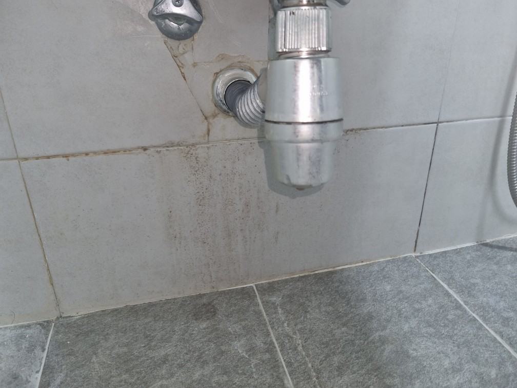 세면대 아래 벽과 바닥에 물기가 보였습니다