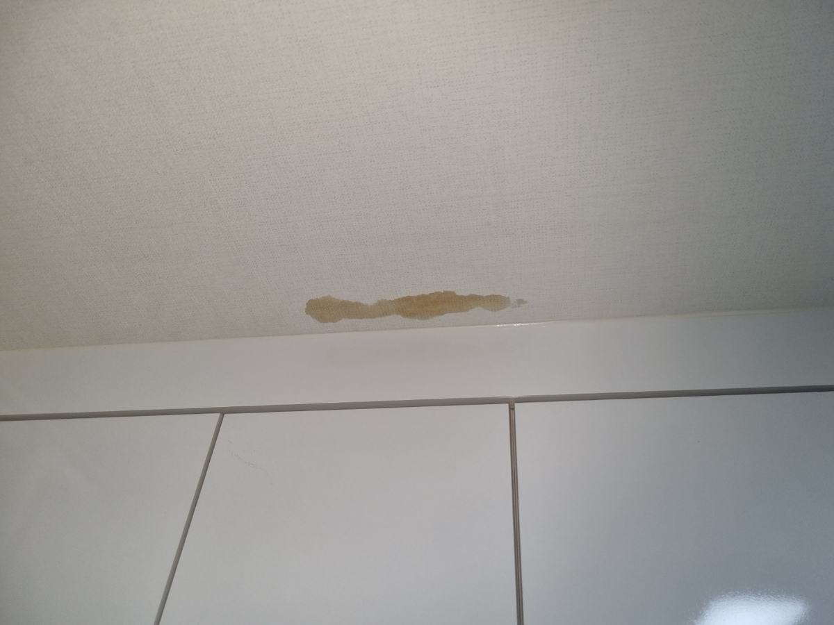 아랫집 천장에 길게 번진 물 자국