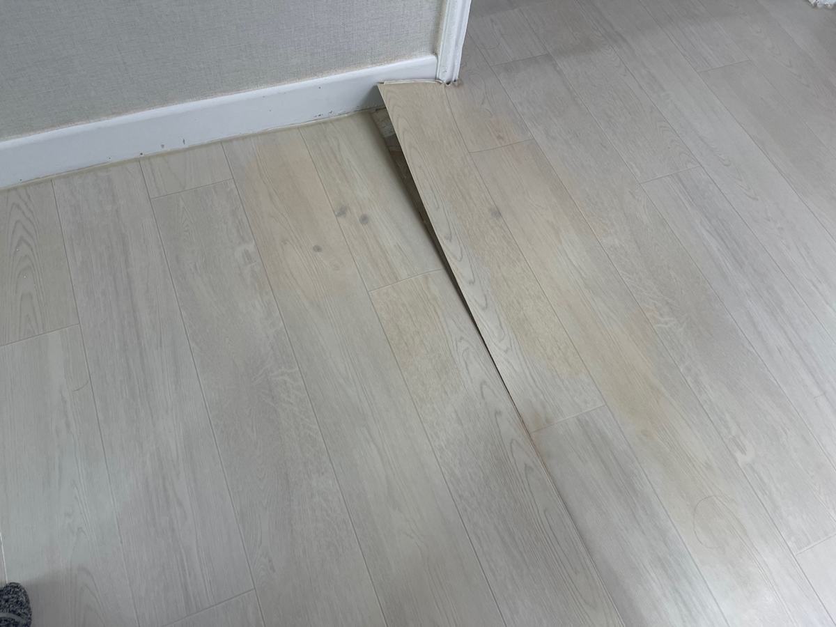 화장실 앞 거실 장판. 이음 자리를 따라 누렇게 변색돼 있었습니다