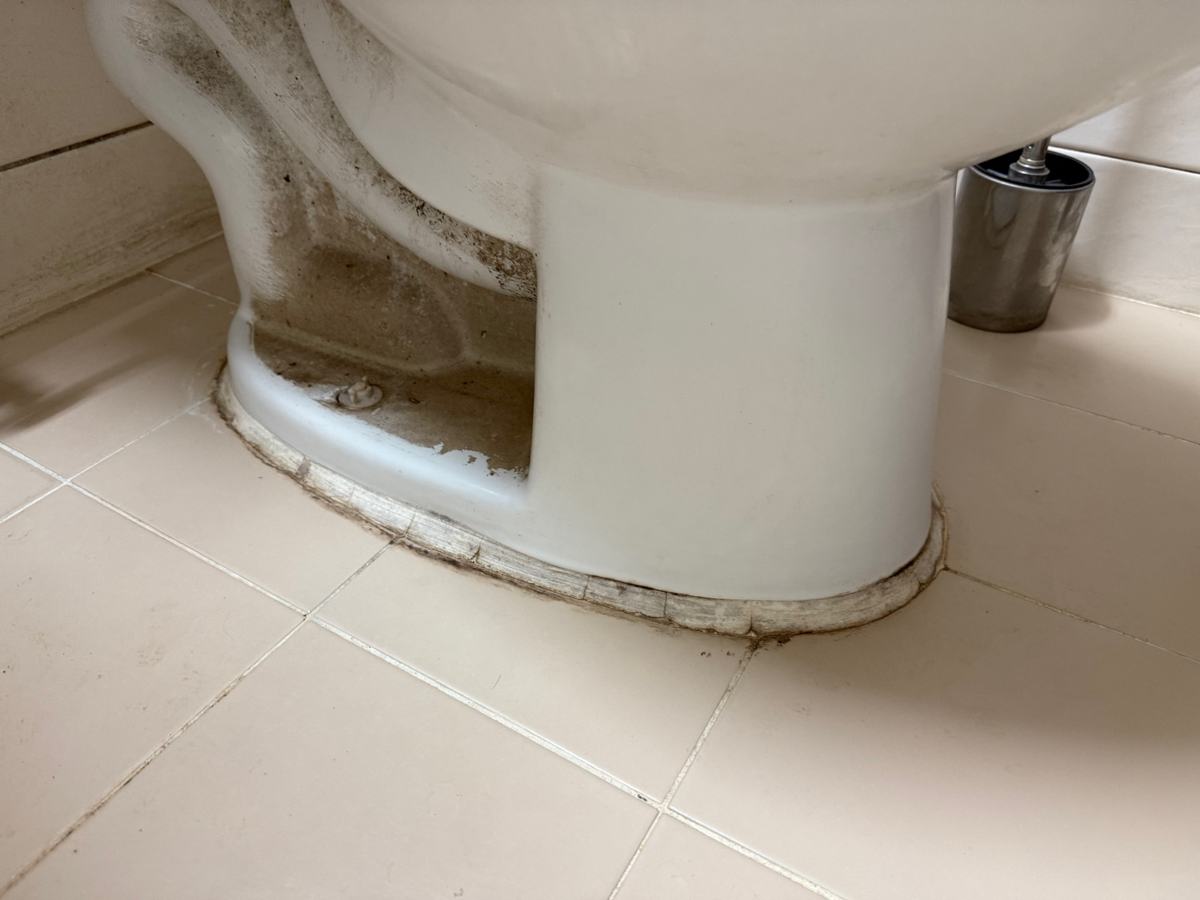 변기 밑 둘레에 낀 물때