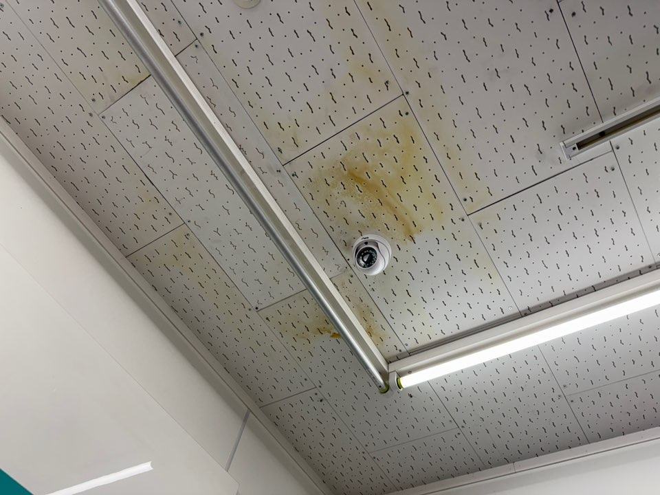 1층 편의점 천장. 위층 화장실 아래쪽 천장 텍스에 물 자국이 번져 있었습니다