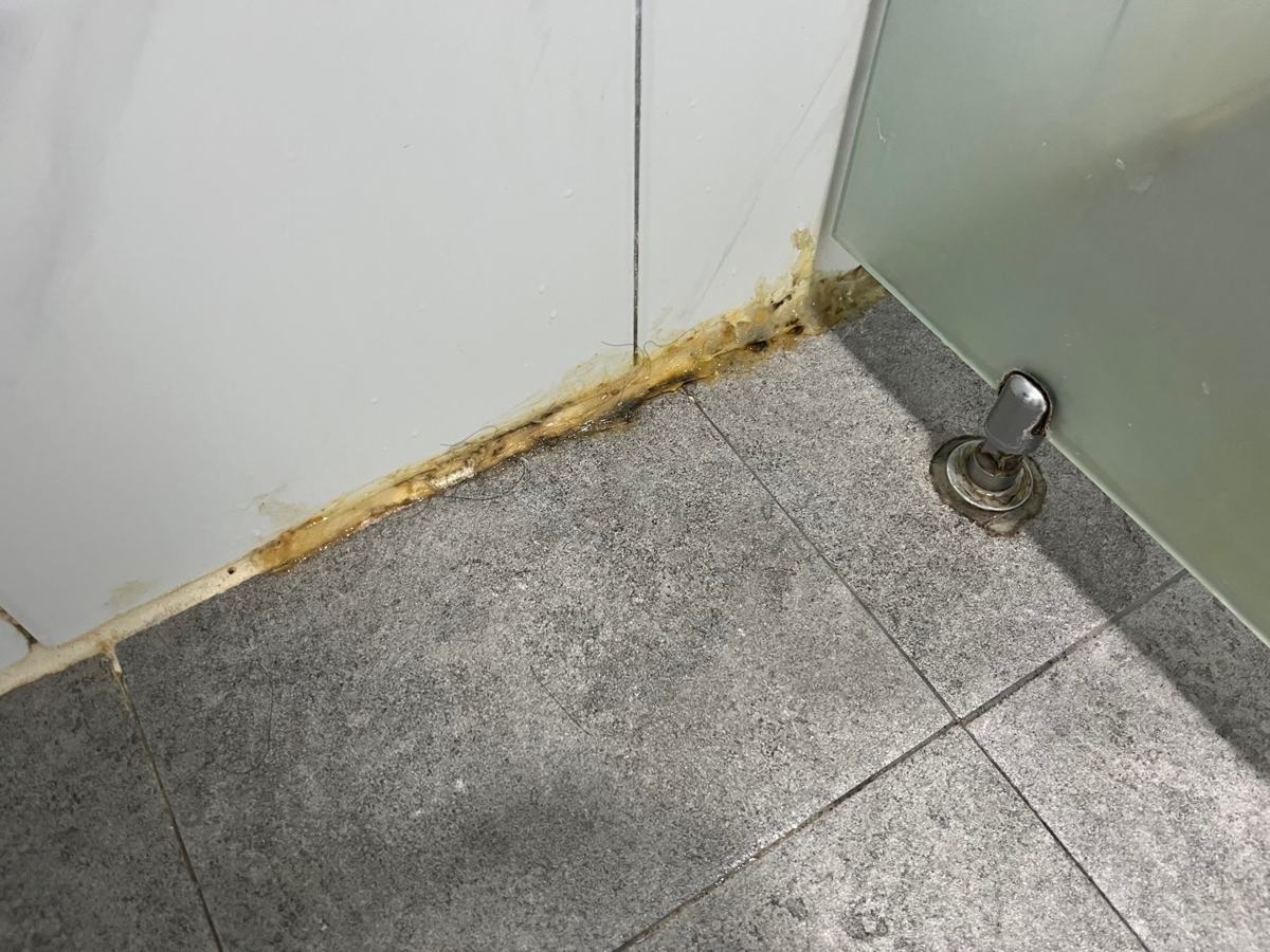 샤워부스 바닥 가장자리. 백시멘트가 들뜨고 누렇게 변해 있었습니다