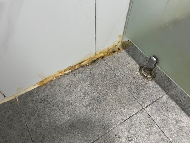 샤워부스 바닥 가장자리. 백시멘트가 들뜨고 누렇게 변해 있었습니다